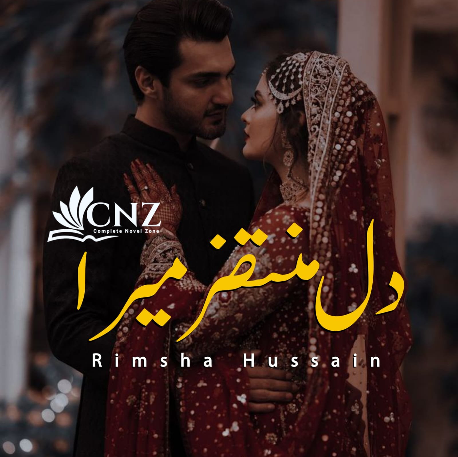novels in urdu