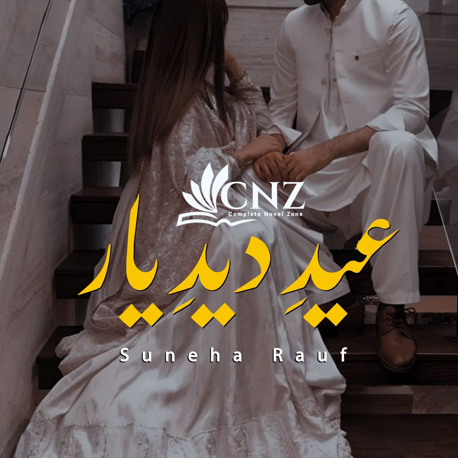 novels in urdu