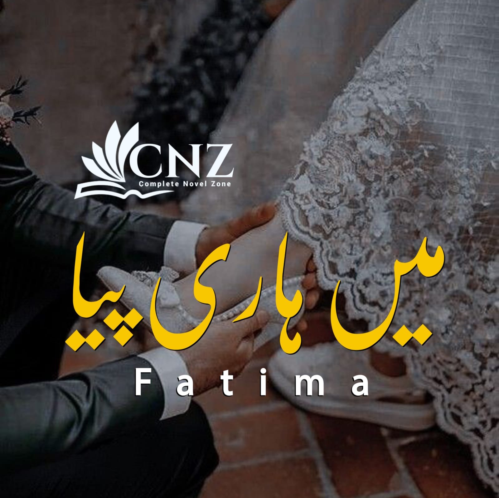 novels in urdu