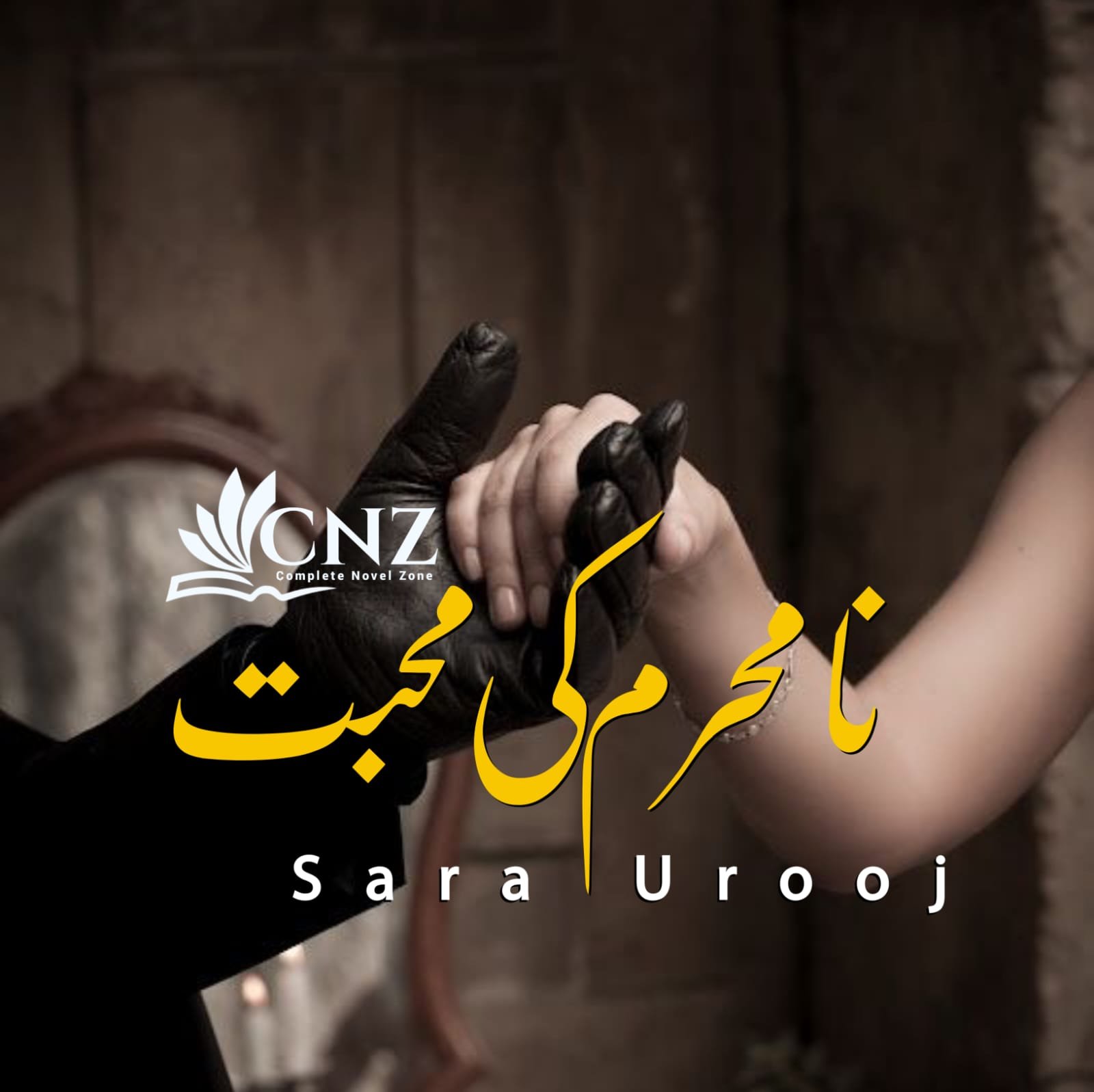 novels in urdu