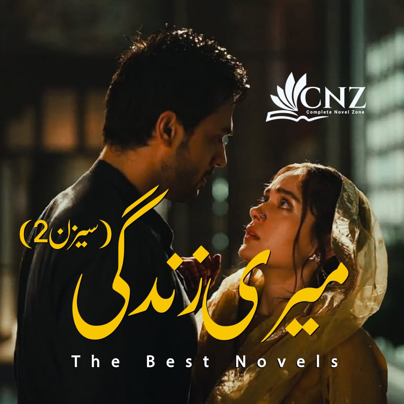 novels in urdu