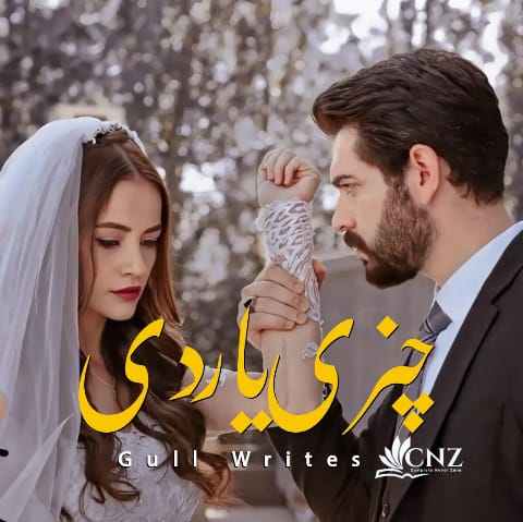 novels in urdu